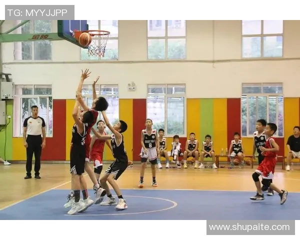 重庆篮球队在全国锦标赛中的状态分析与表现点评