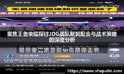 聚焦王者荣耀探讨JDG战队默契配合与战术策略的深度分析