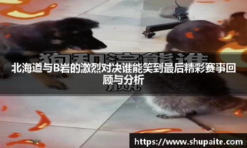 北海道与B岩的激烈对决谁能笑到最后精彩赛事回顾与分析